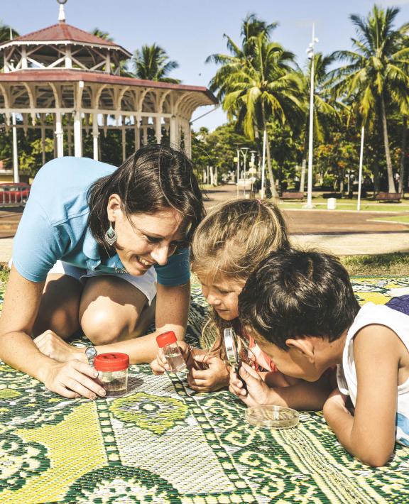 WMP di Kaledonia Baru