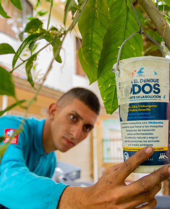 melepaskan-nyamuk-wmp