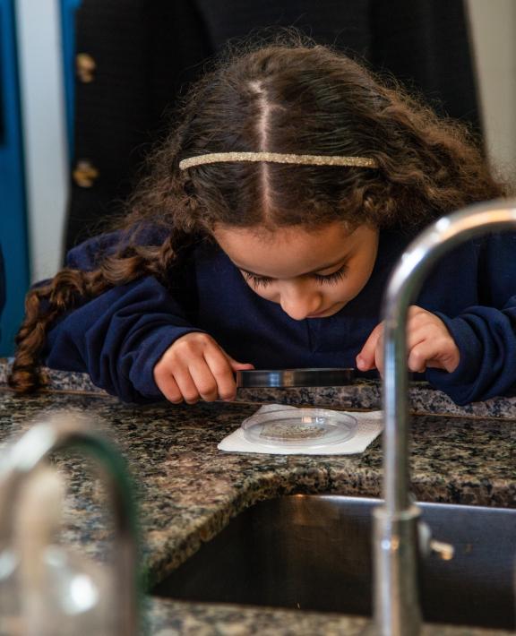 Kemajuan komunitas di WMP Brasil