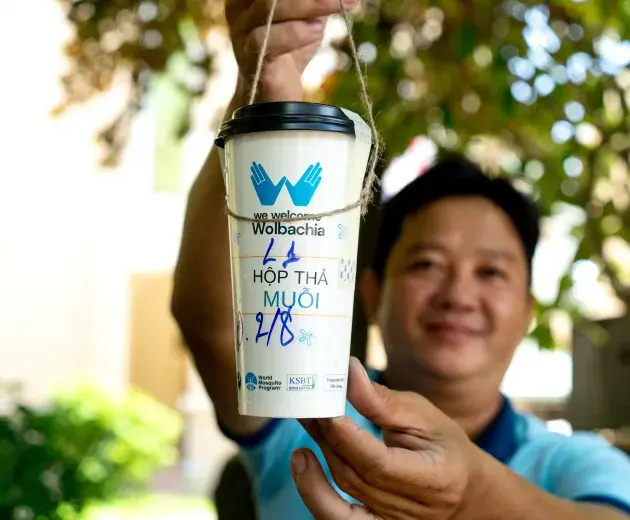 Melepaskan Wolbachia nyamuk