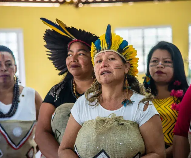 Masyarakat Adat _ Brasil