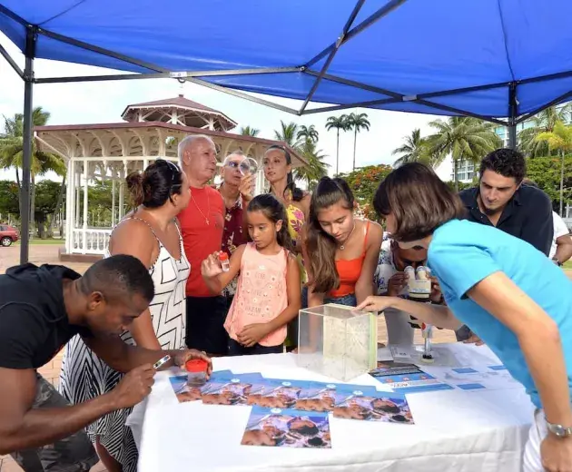 Staf Cal_WMP yang baru menunjukkan kepada penduduk setempat nyamuk aedes aegypti dan jentik-jentiknya 