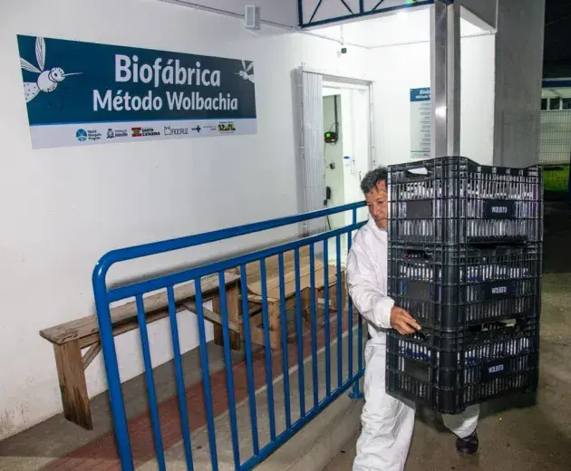 Relawan Wolbtio do Brasil