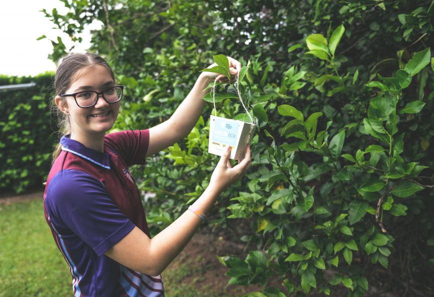 Charlotte - Wolbachia Warrior