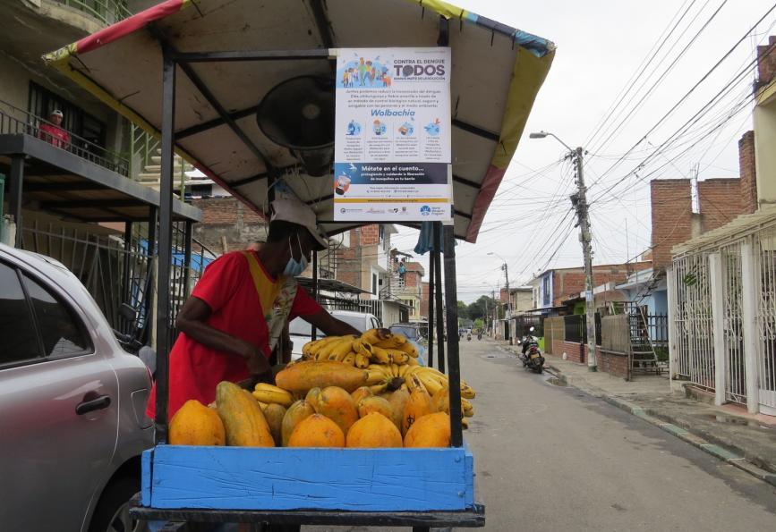 Seorang penjual buah di samping papan nama tentang Wolbachia di Cali, Kolombia