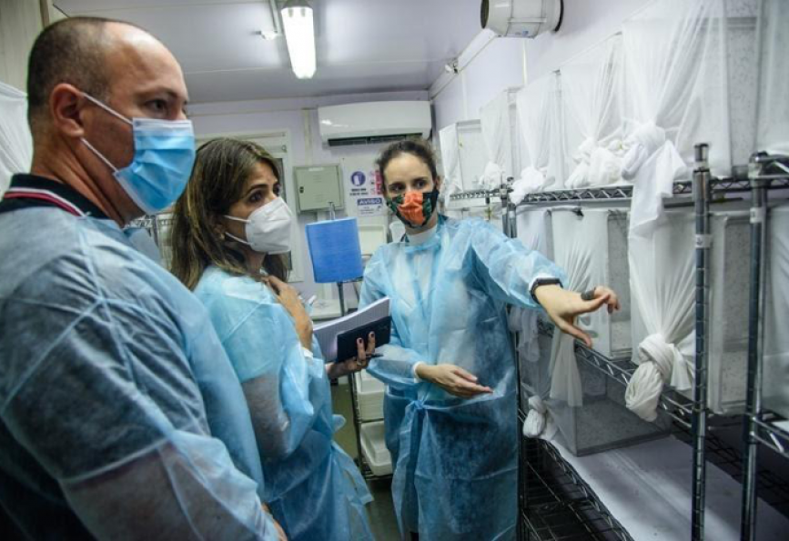 Perempuan dalam Sains Brasil