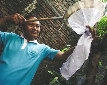 Pemantauan