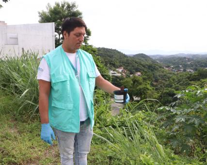 WMP Lepaskan nyamuk di Brasil .